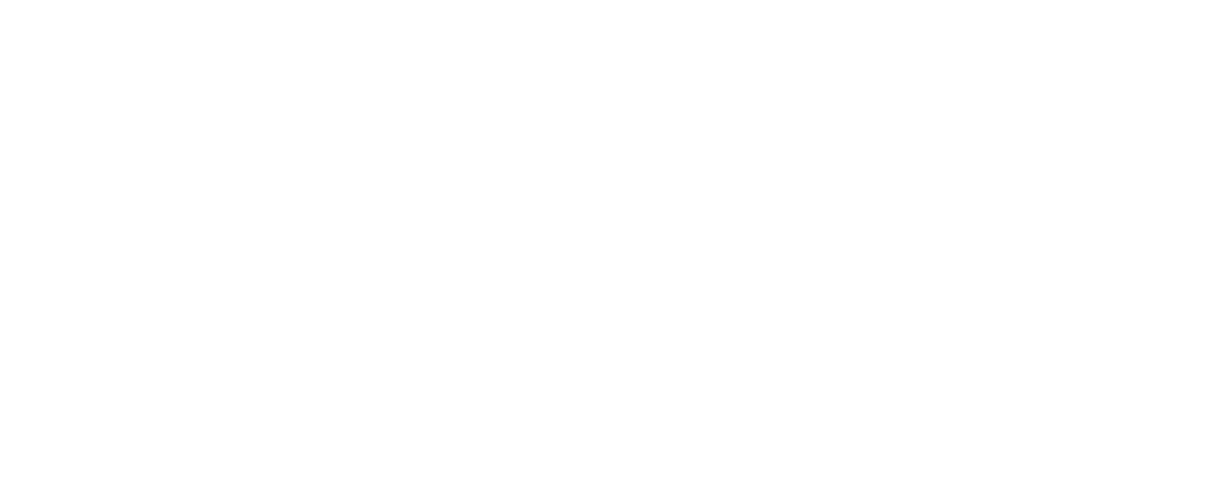 FysioX